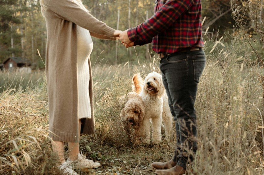a man and a woman holding hands with a dog P