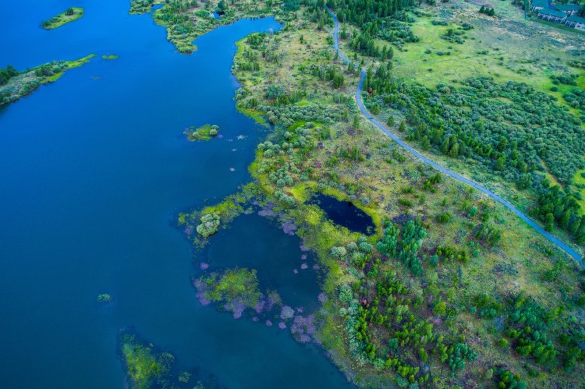 aerial photography of island