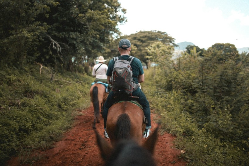 man in blue and white shirt riding brown horse during daytime