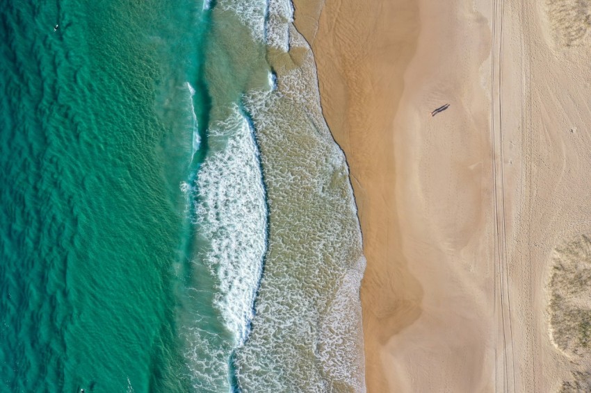 aerial photography of shore