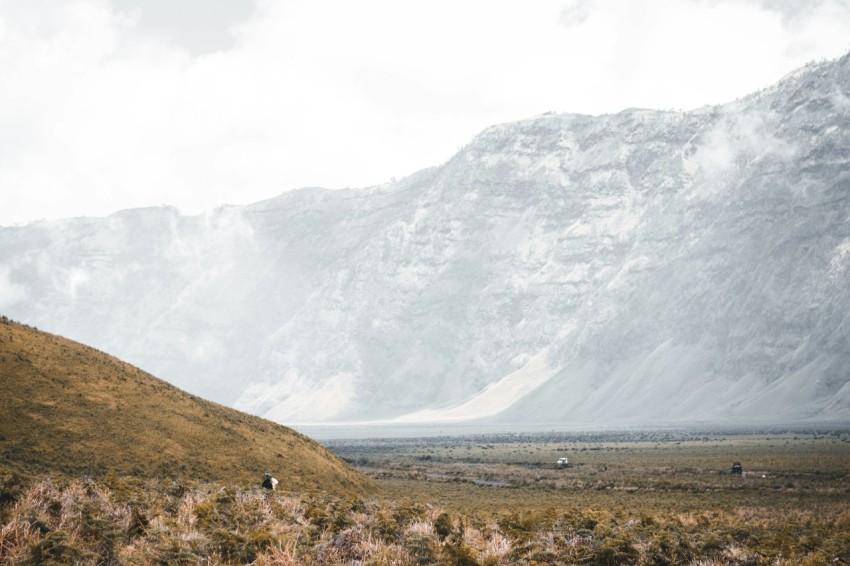 landscape photography of open field