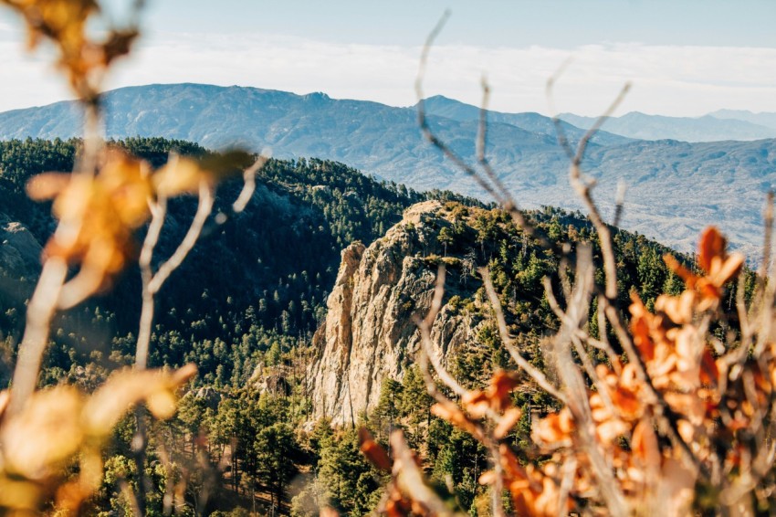 selective focus landscape photography of mountain filled with trees caAzoHg