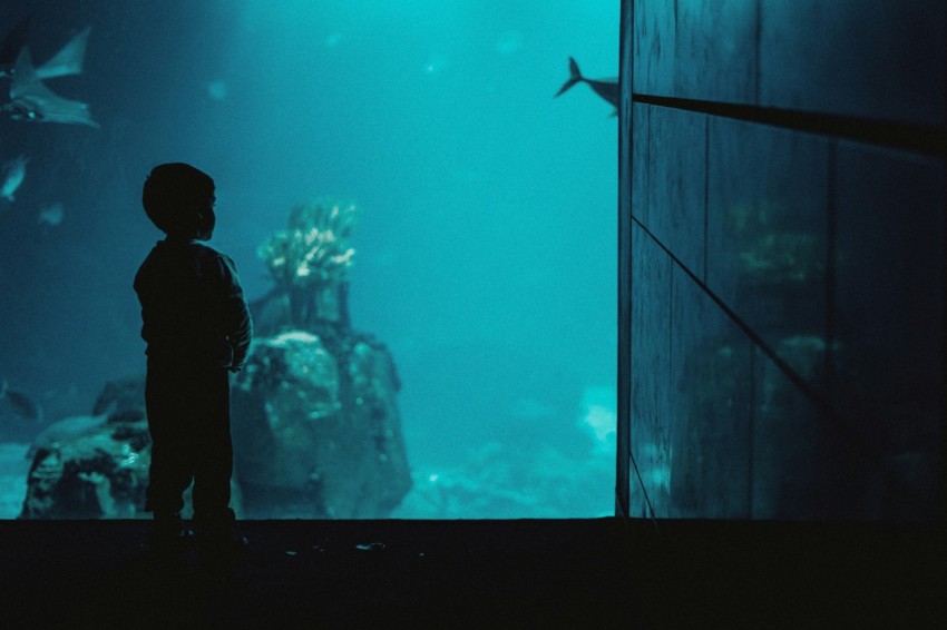 a little boy standing in front of a fish tank