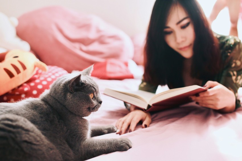 woman reading book near cat l08jhHi