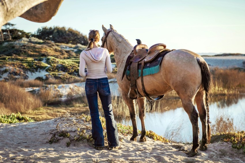 woman near horse vLHPqCQ