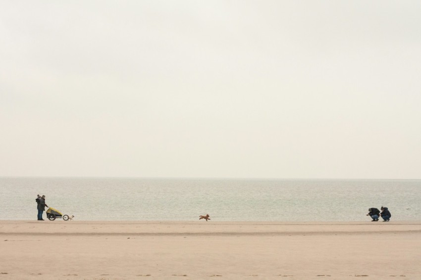 person standing on sea shore