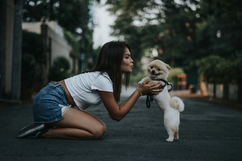 woman petting pomeranian dog