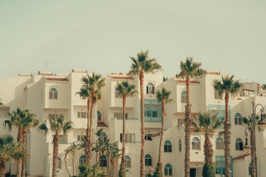 a building with palm trees in front of it 24n