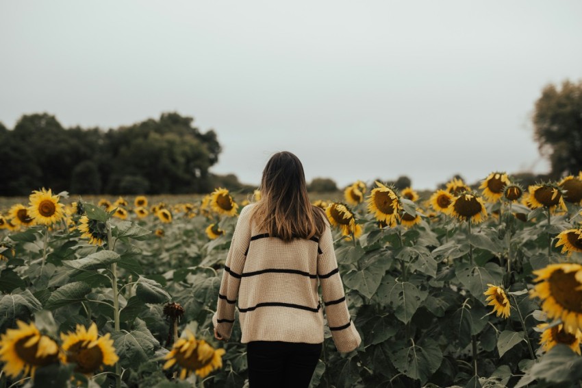 woman standing field of sunflower KM