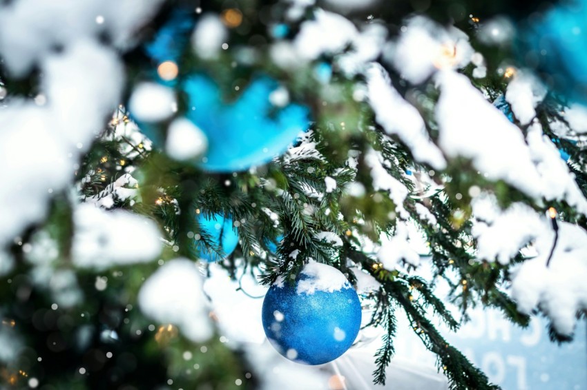 blue baubles on green christmas tree