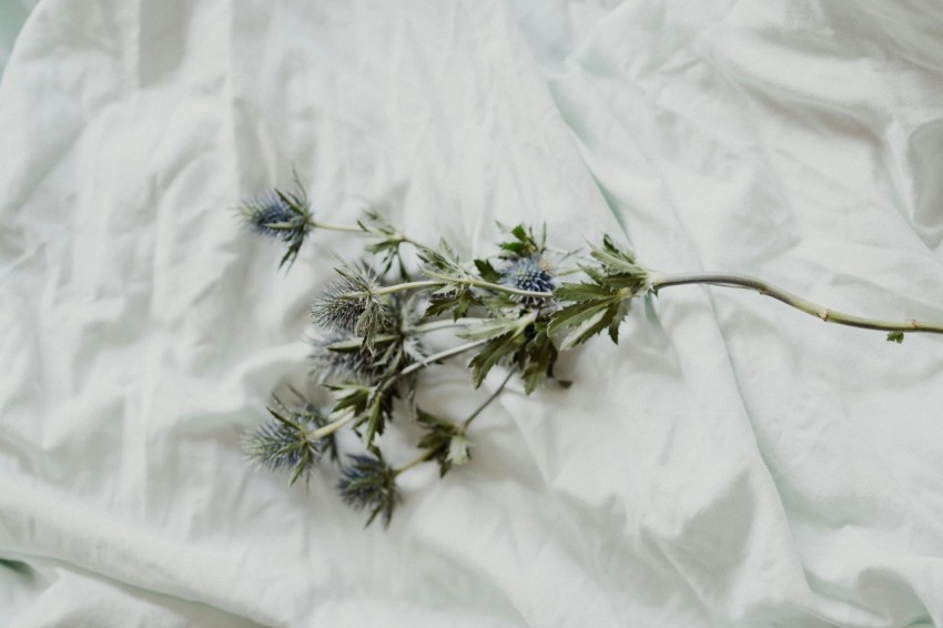 green and white flower on white textile