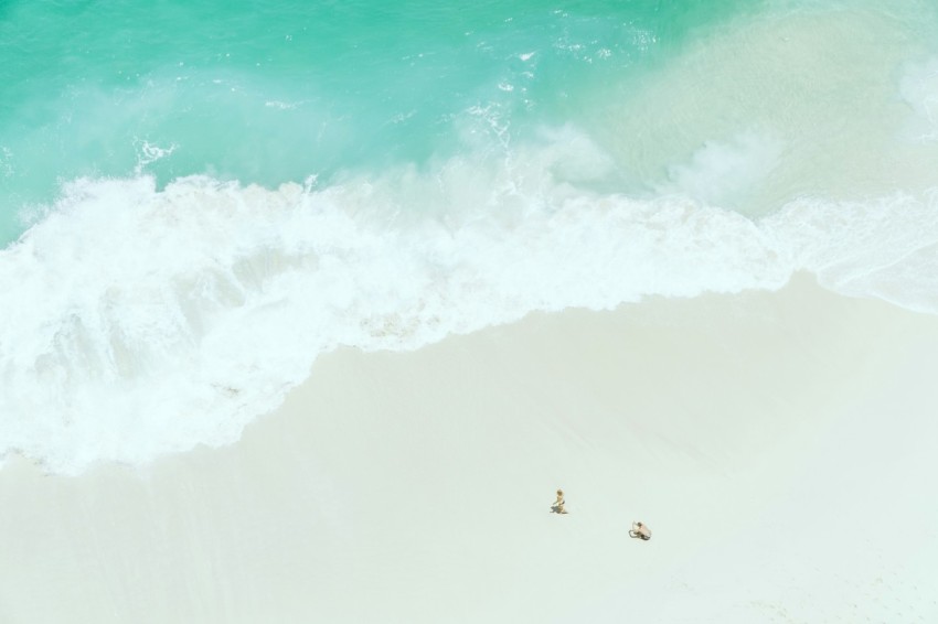 two people on sand near seashore c