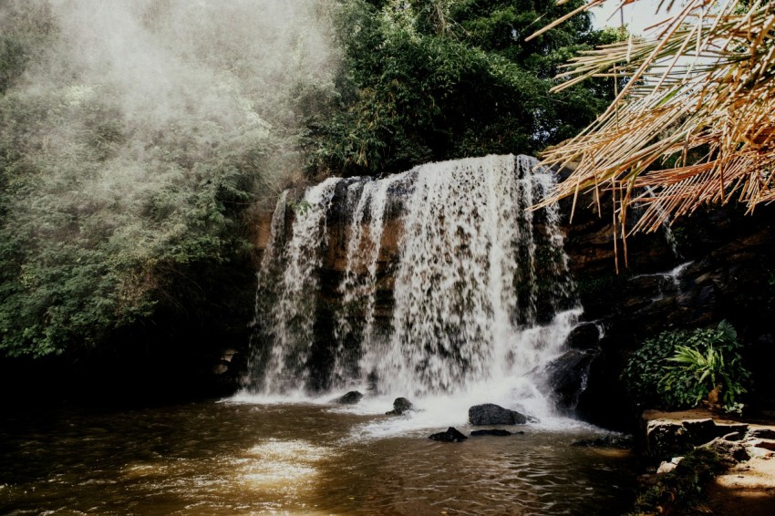 waterfall surrounded by trees