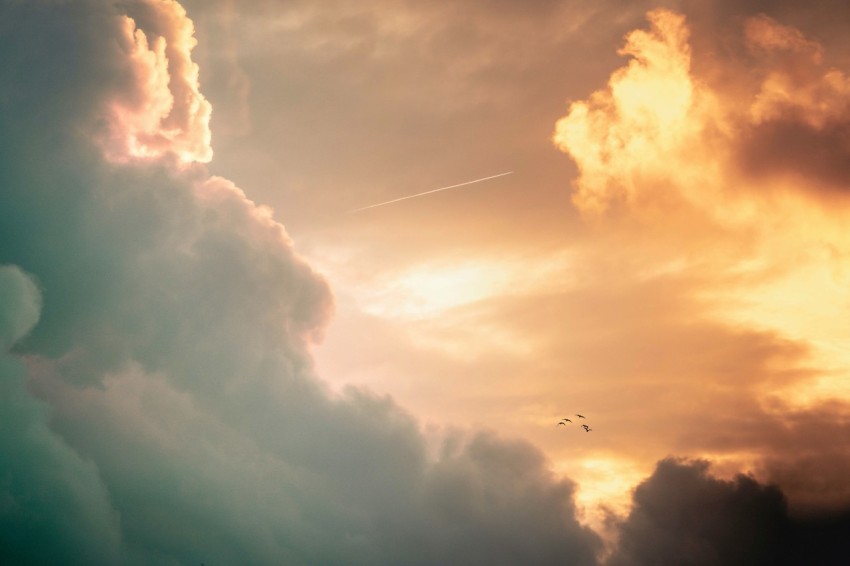 airplane flying over white clouds during daytime cuu1z3l5S