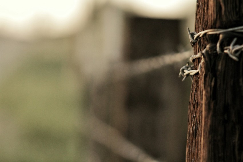 barbwire under sunny sky jkzXG