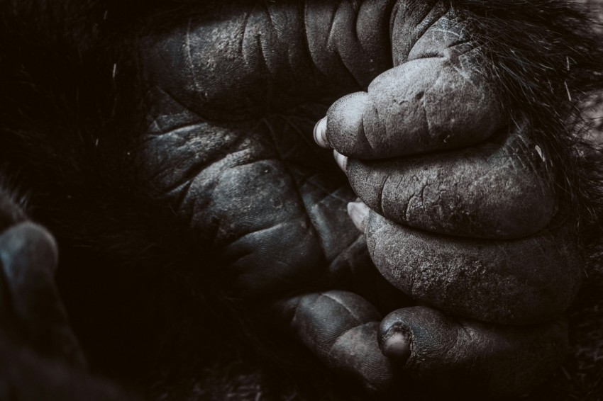 grayscale photo of persons hand ATHIPH