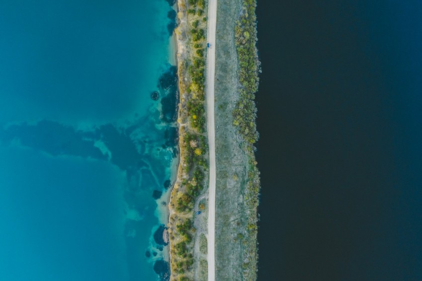 aerial view of green trees and blue water