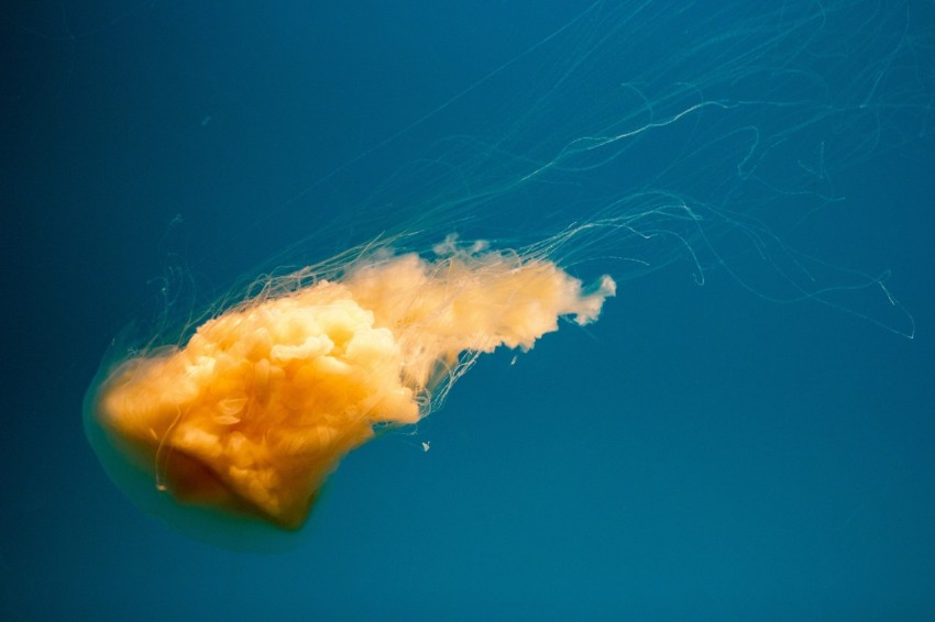 blue and white abstract painting