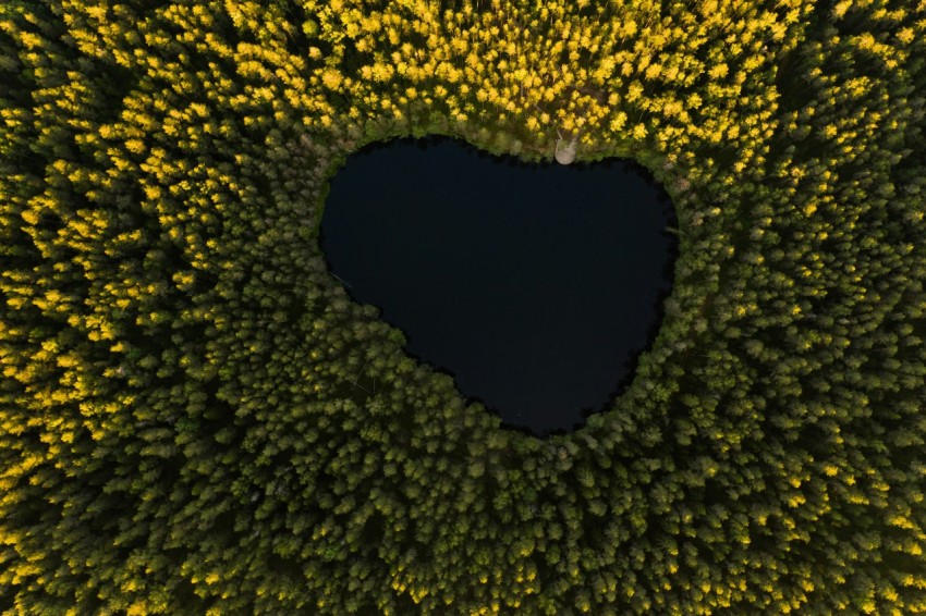 green and yellow heart shaped hole u 6A