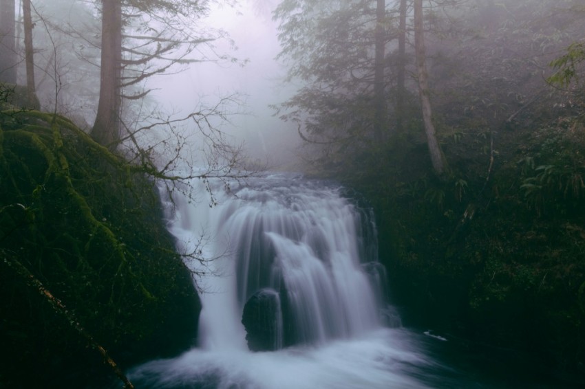 waterfalls in forests