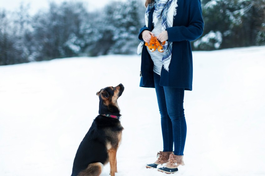 woman standing beside black dog on snow field akT6WxVS4