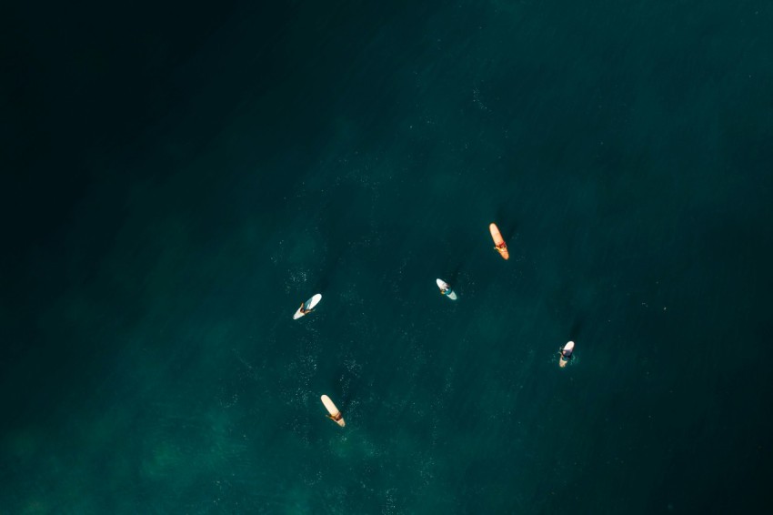 a group of boats floating on top of a body of water