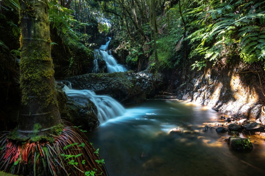 waterfalls in forest