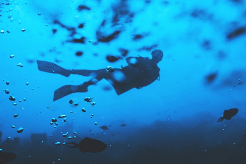 man swimming underwater with jellyfish b2GhLsVR