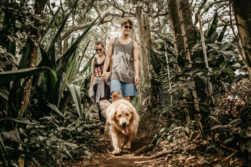 smiling man and woman holding hands together while walking on forest together with brown dog