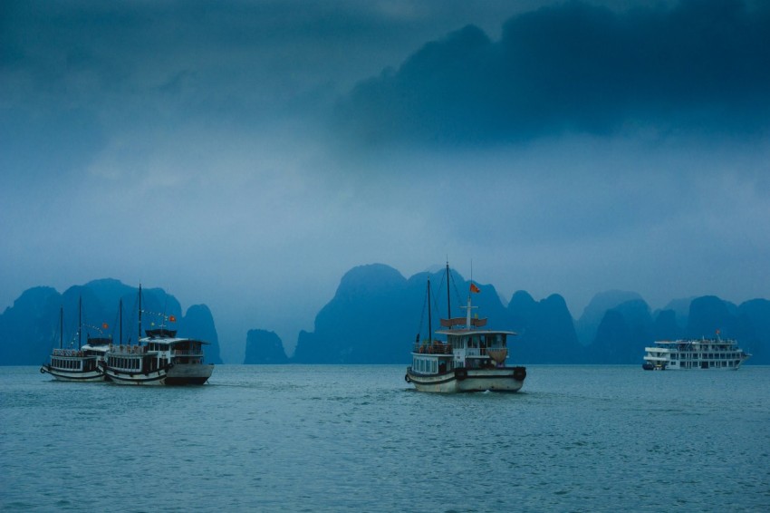 boats on water