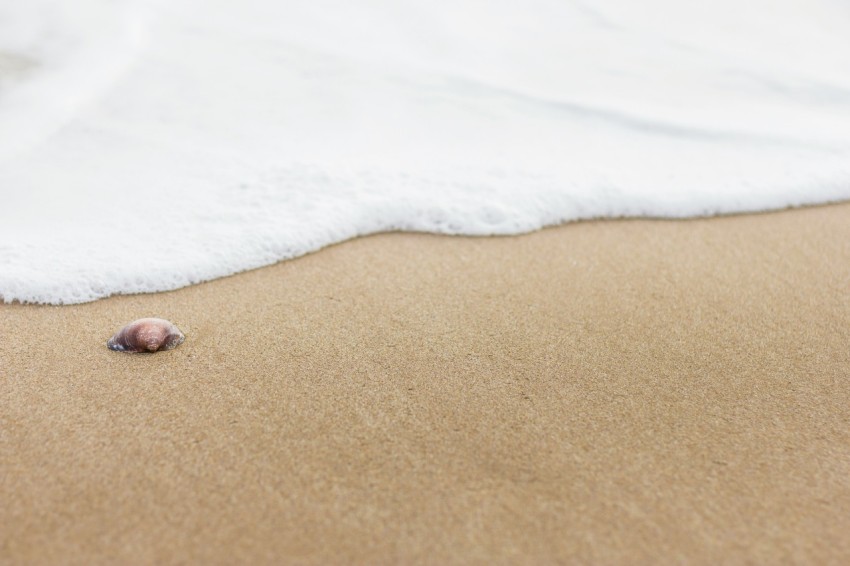 persons foot on brown sand near body of water during daytime DtKvP7AKk