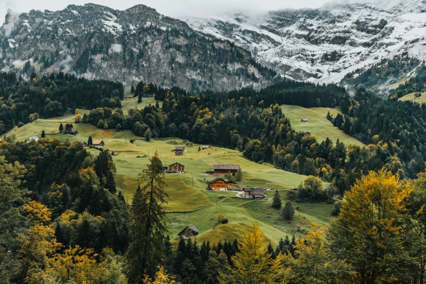 aerial photography of houses on green hill aAn