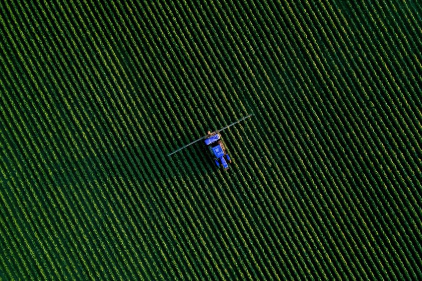 a group of people flying kites in the sky