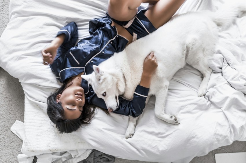 woman lying on bed with white siberian husky