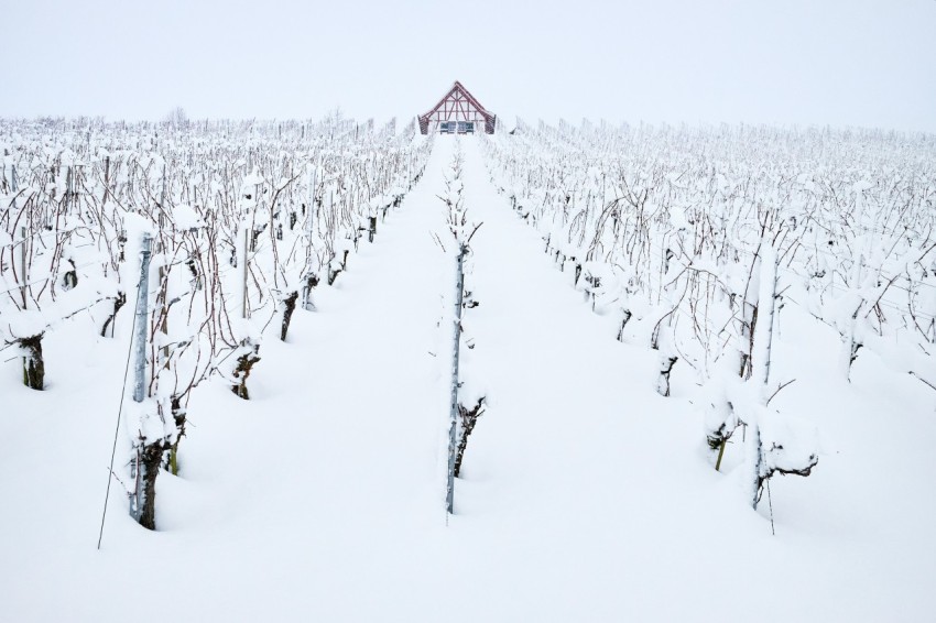 snowfield and house during day