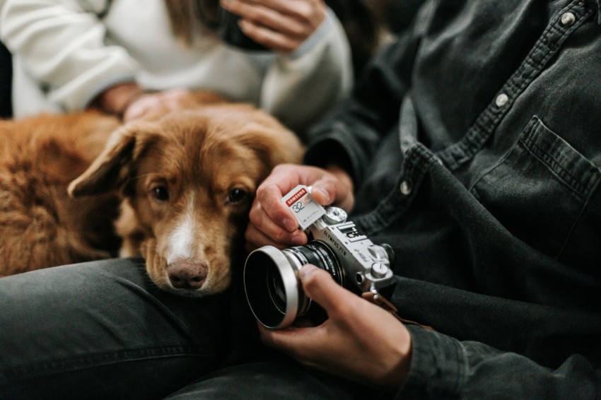 person holding black and silver camera