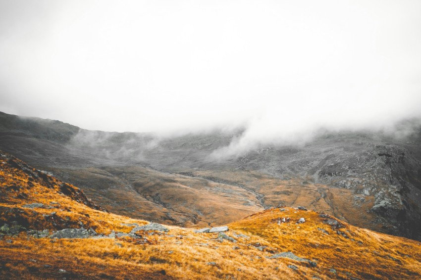 mountain covered with fog during daytime