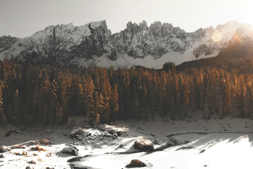 green leaf trees near snow covered mountains at daytime _jZZul5o