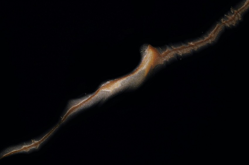 a black background with an orange and white swirl