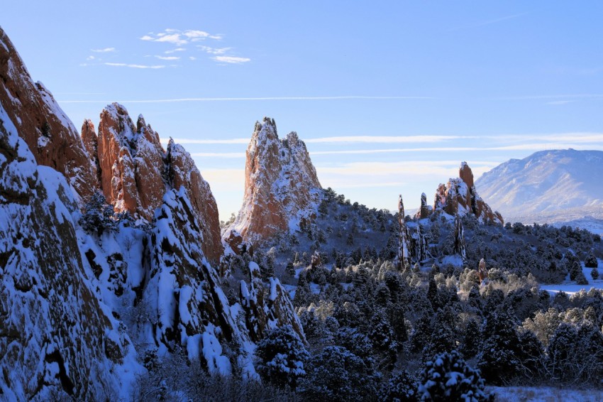 snow covered trees and mountains during daytime