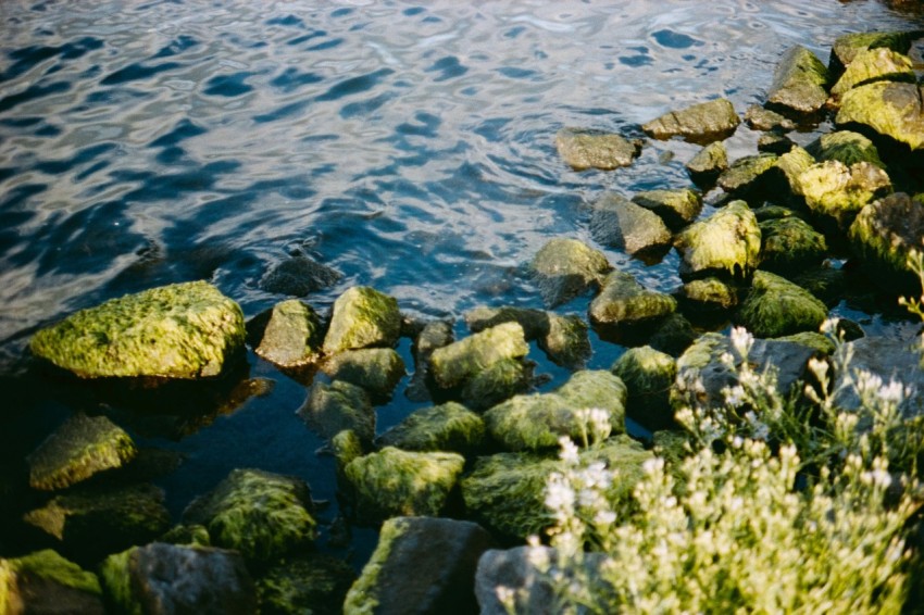 gray rocks on body of water during daytime