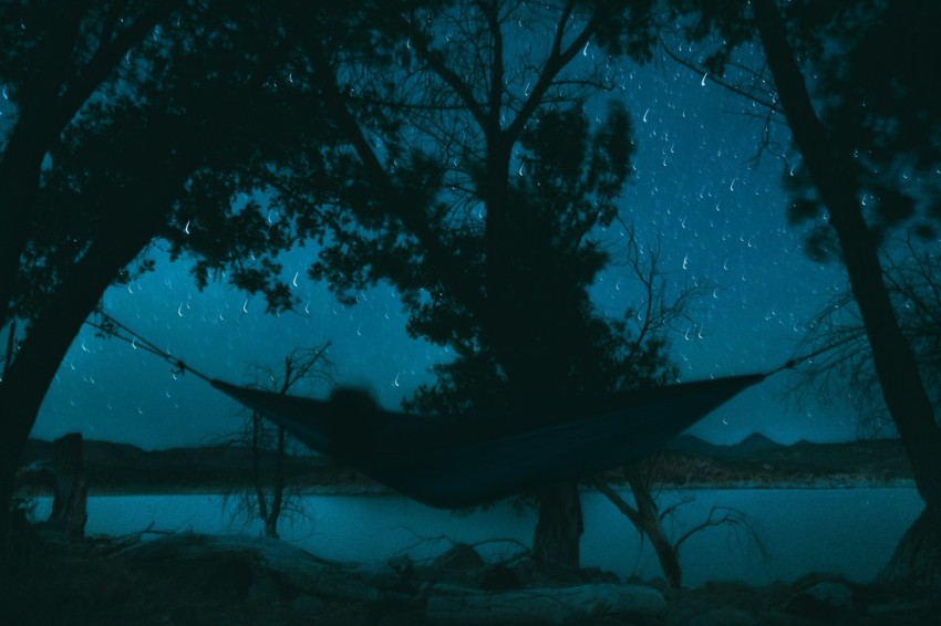 silhouette of trees during night time