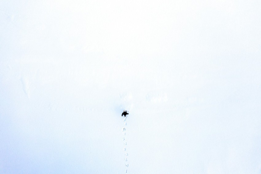 a person skiing down a snowy hill on a sunny day