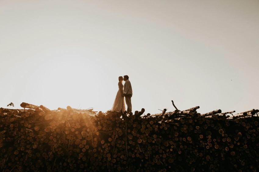 couple kissing while standing on tree logs