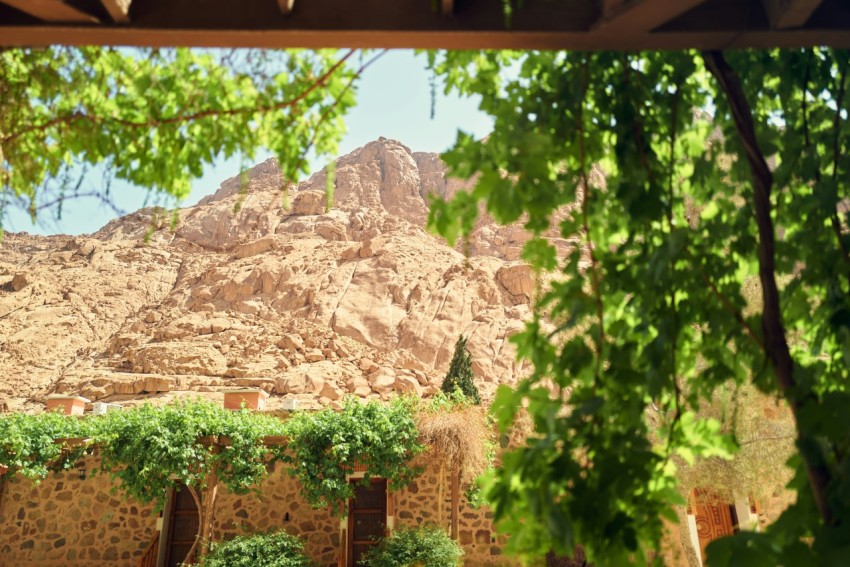 a rocky cliff with trees