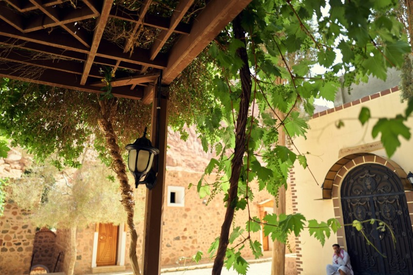 a tree in front of a stone building