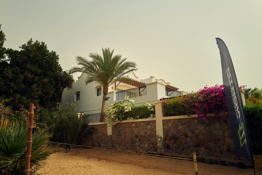 a house with a stone wall and trees in front of it