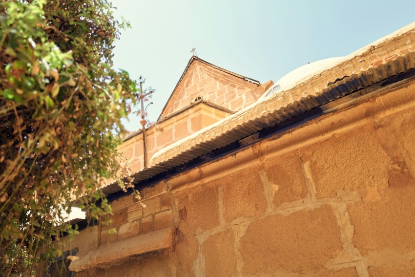a building with a tree in front of it