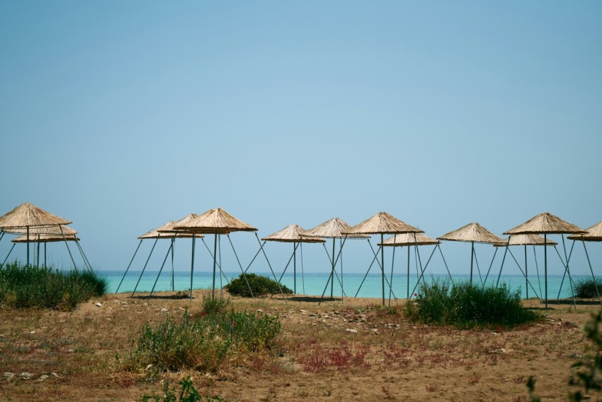 a group of straw umbrellas