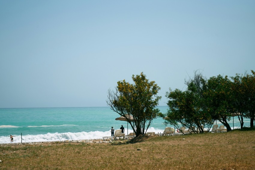 a group of people on a beach